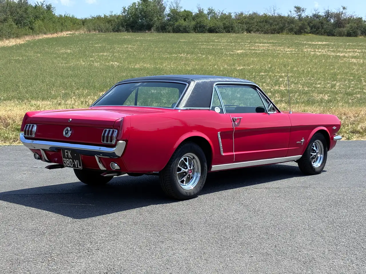 Ford Mustang V8 289 ci 4,7L, foto 3