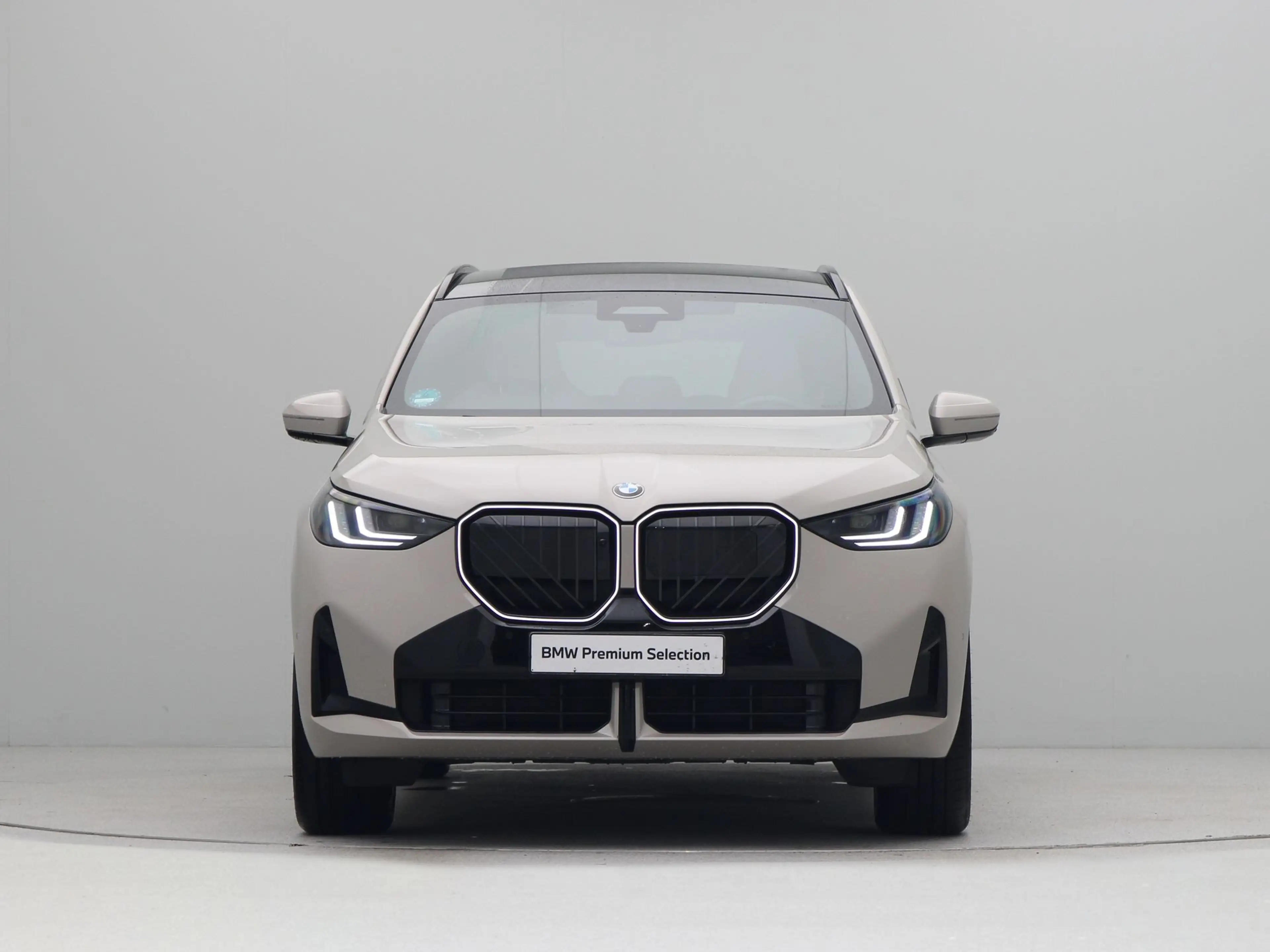 BMW X3 30e xDrive — photo 6