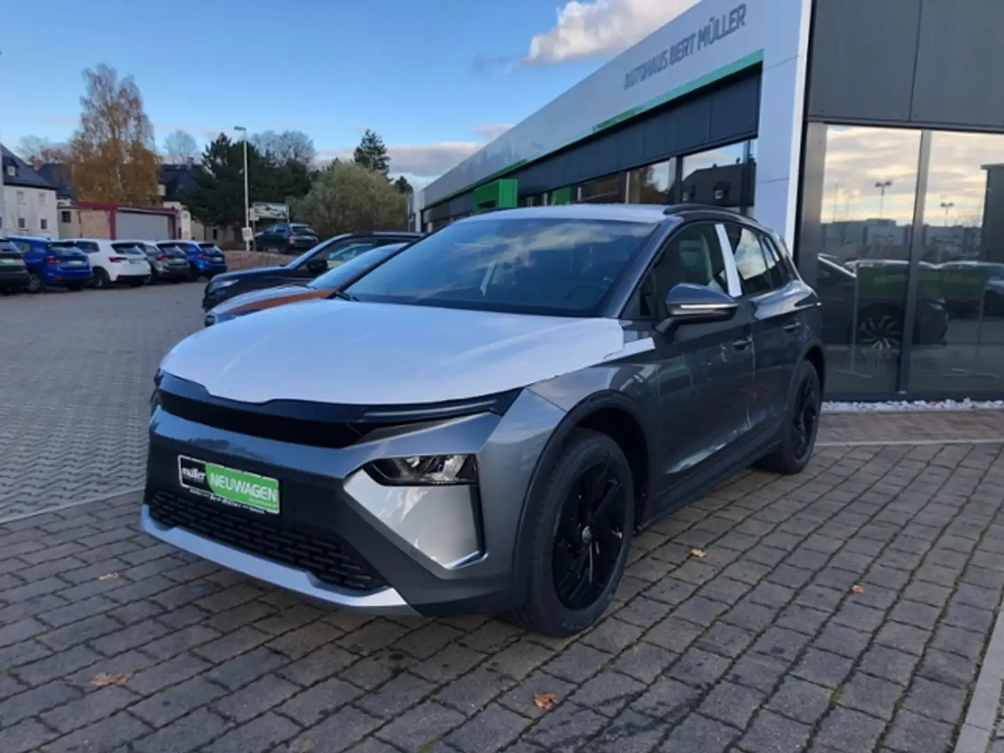 Skoda Elroq 50 Tour Studio SmartLink Navi Gris - 2