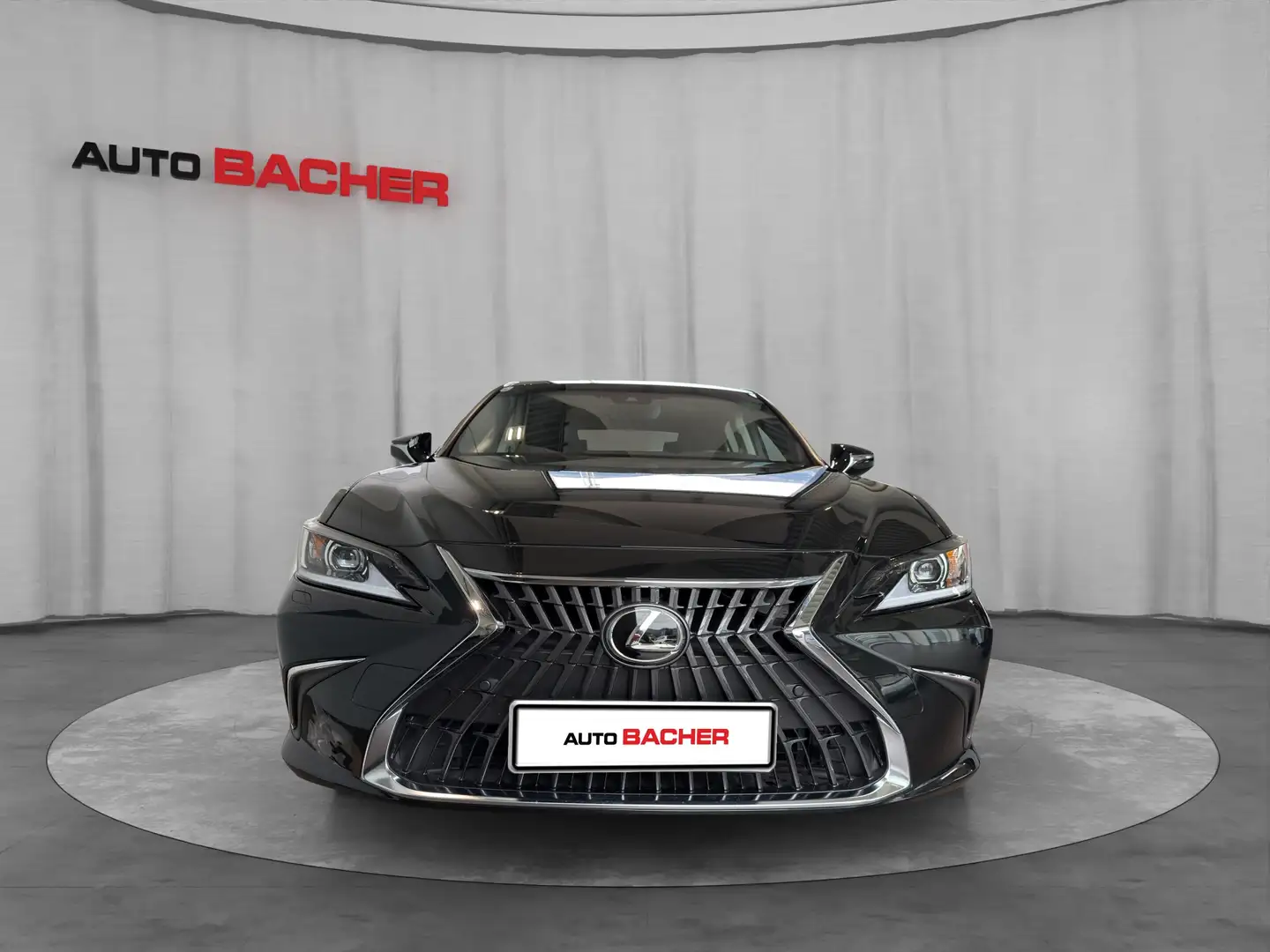 Lexus ES 300 Business Line 218 PS Schwarz - 2