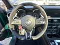 Alfa Romeo Stelvio Quadrifoglio 2.9 V6 Sparco Panorama 21'' Grün - thumbnail 19
