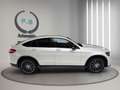 Mercedes-Benz GLC 250 d 4Matic/RFK/AMG/STNDHZG/BURMESTER/360* Weiß - thumbnail 7