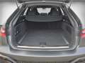 Audi RS6 Avant performance RS-AGA Optik Carbon Pano Servo S Grau - thumbnail 14