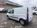 Renault Kangoo Blue dCi 95CV Express Furgone Ice Blanc - thumbnail 12