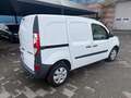 Renault Kangoo Blue dCi 95CV Express Furgone Ice Blanc - thumbnail 5