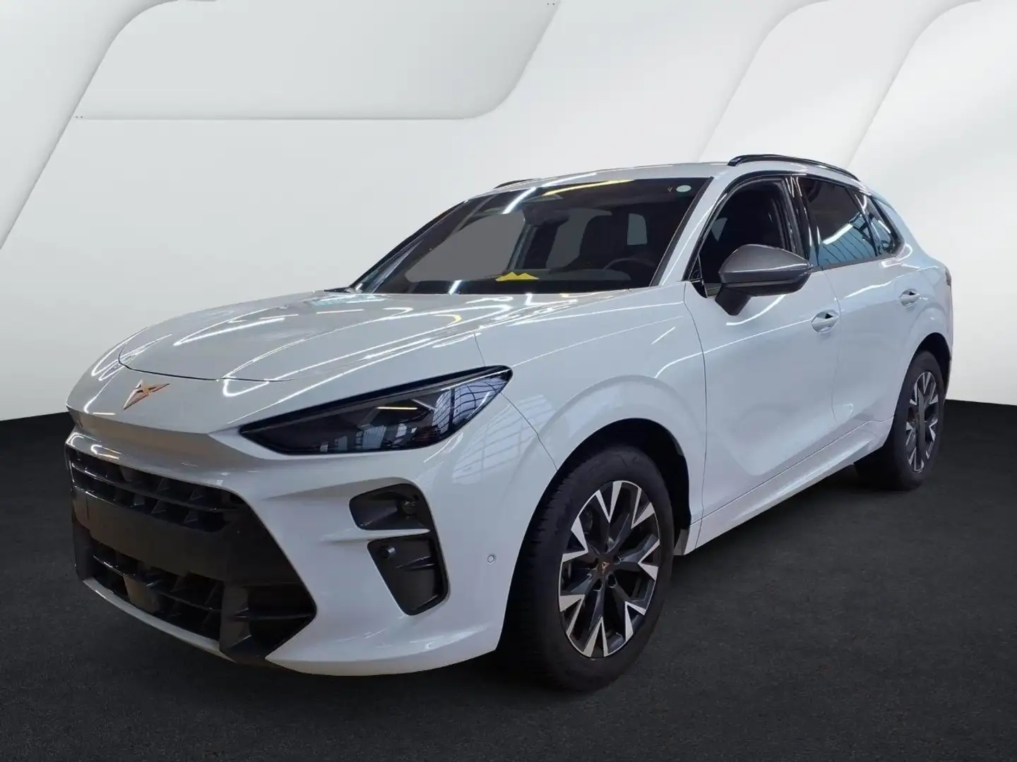 CUPRA Terramar Sonderleasing 1.5 eTSI 360°View Navi ACC HUD Memor Weiß - 2