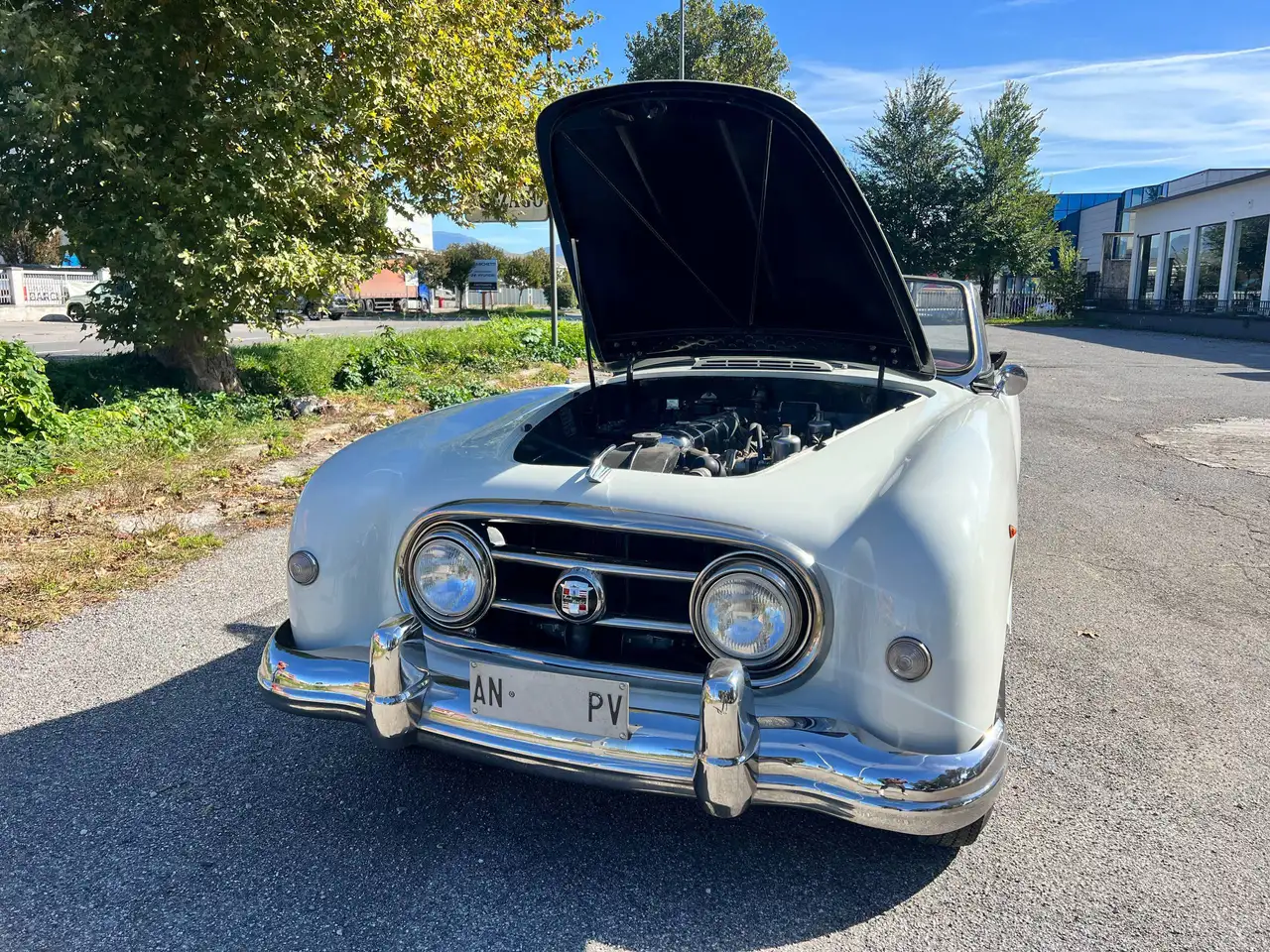 NASH HEALEY ROADSTER 1952, foto 6