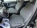 Fiat Panda Panda 1.0 FireFly S&S Hybrid (PREZZO REALE) Noir - thumbnail 4