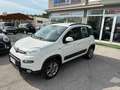 Fiat Panda Panda III 2012 4x4 1.3 mjt 16v 4x4 75cv Bianco - thumbnail 1