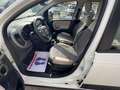 Fiat Panda Panda III 2012 4x4 1.3 mjt 16v 4x4 75cv Bianco - thumbnail 6