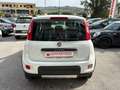 Fiat Panda Panda III 2012 4x4 1.3 mjt 16v 4x4 75cv Bianco - thumbnail 4