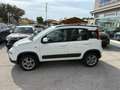 Fiat Panda Panda III 2012 4x4 1.3 mjt 16v 4x4 75cv Bianco - thumbnail 3