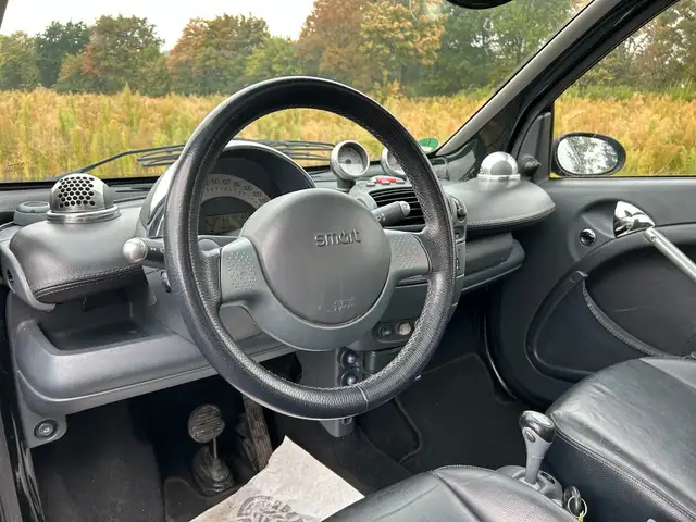 smart Fortwo view 12