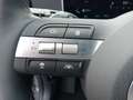 Hyundai TUCSON PHEV 1.6 T-GDI 4WD PRIME ECS, Assistenz-Paket Grau - thumbnail 21