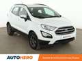 Ford EcoSport 1.0 EcoBoost Trend Blanc - thumbnail 8