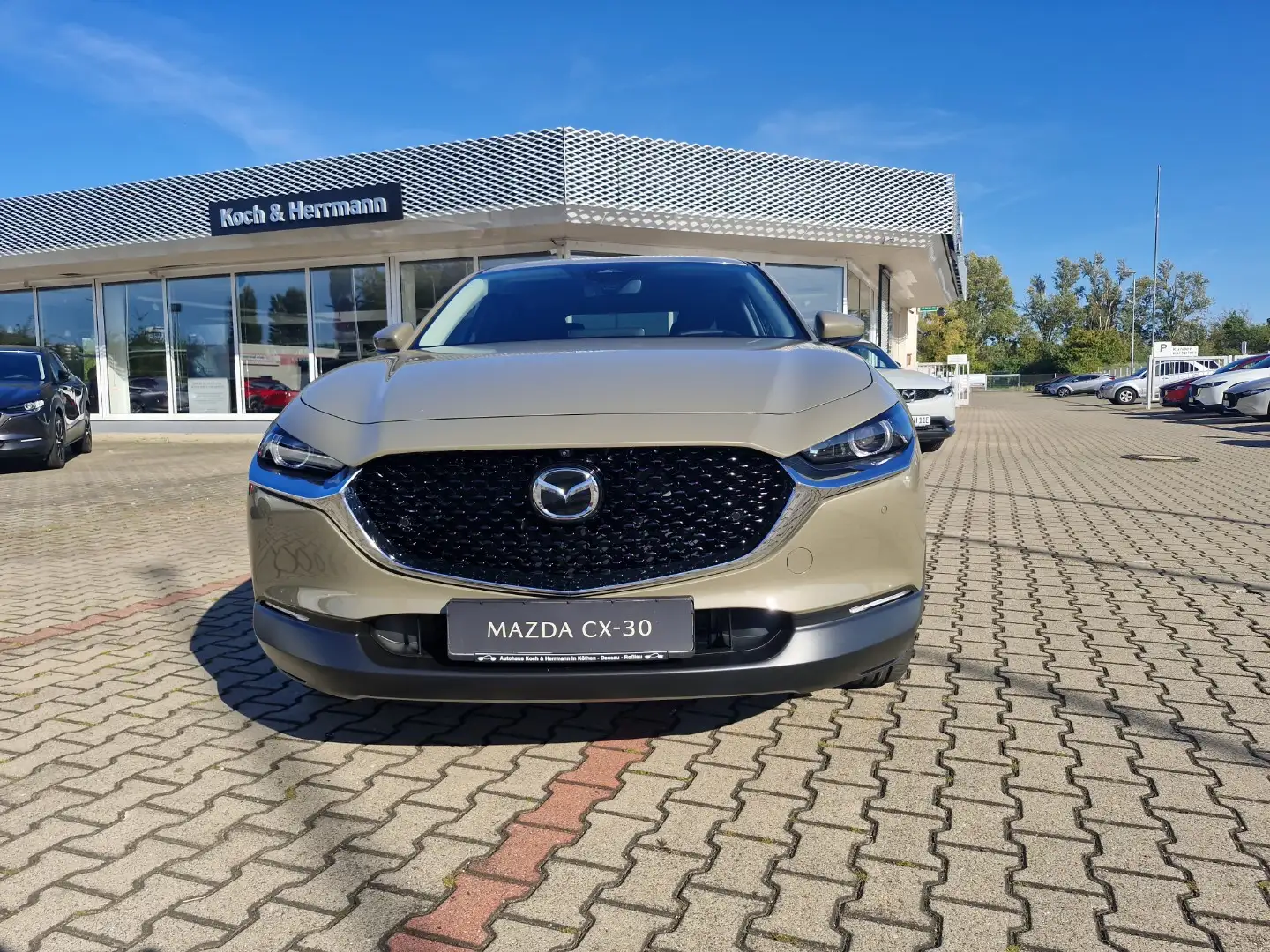 Mazda CX-30 2.5L e-SKYACTIV G 140ps AUTOMATIK EXCLUSIVELINE Beige - 2