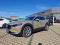 Mazda CX-30 2.5L e-SKYACTIV G 140ps AUTOMATIK EXCLUSIVELINE Beige - thumbnail 3