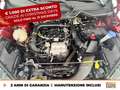 Ford EcoSport 1.0 ecoboost active s&s 125cv Rosso - thumbnail 12
