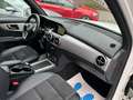 Mercedes-Benz GLK 200 CDI AT/NAVI/LEDER/AHK/XENON Bílá - thumbnail 17