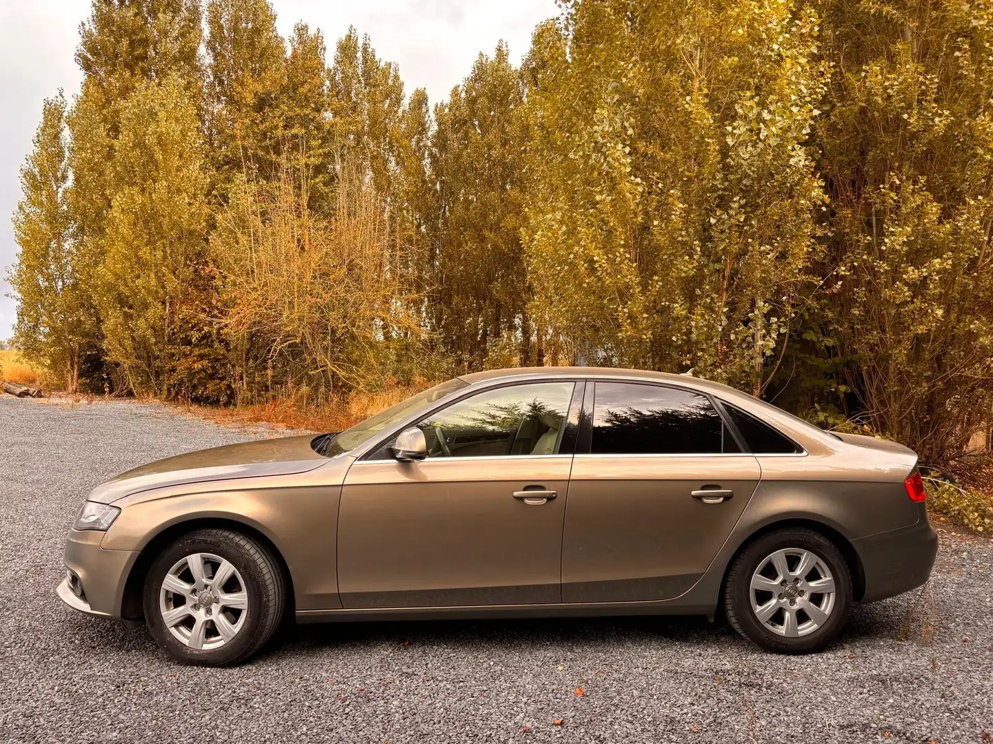 Audi A4 A4 1.8 TFSI 160 Ambiente Multitronic A - 2