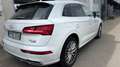 Audi Q5 Q5 50 TDI quattro tiptronic design Weiß - thumbnail 5