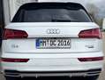 Audi Q5 Q5 50 TDI quattro tiptronic design Weiß - thumbnail 8
