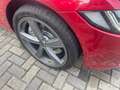 Jaguar XE Portfolio Allrad AWD Xenon W+S Rot - thumbnail 5