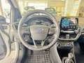 Ford Fiesta Fiesta VII 2017 5p 5p 1.5 tdci active 85cv Grigio - thumbnail 11