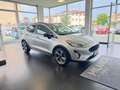Ford Fiesta Fiesta VII 2017 5p 5p 1.5 tdci active 85cv Grigio - thumbnail 4
