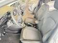 Ford Fiesta Fiesta VII 2017 5p 5p 1.5 tdci active 85cv Grigio - thumbnail 8