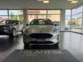 Ford Fiesta Fiesta VII 2017 5p 5p 1.5 tdci active 85cv Grigio - thumbnail 2