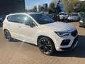 CUPRA Ateca Basis 4Drive *VIRTUAL* *360* *221kW* Weiß - thumbnail 5