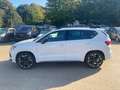 CUPRA Ateca Basis 4Drive *VIRTUAL* *360* *221kW* Weiß - thumbnail 9