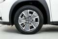 Lexus UX 300e Business City Blanco - thumbnail 11
