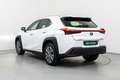Lexus UX 300e Business City Blanco - thumbnail 9