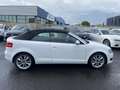 Audi A3 CABRIOLET 2.0 TDI 140CH DPF START-STOP AMBIENTE Bianco - thumbnail 14