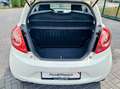 Ford Ka/Ka+ Ambiente*TüV Neu*Klima*ToP* Weiß - thumbnail 14