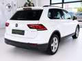 Volkswagen Tiguan Life eHybrid Virtual Tacho AHK 1.Besitz Weiß - thumbnail 3