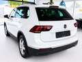 Volkswagen Tiguan Life eHybrid Virtual Tacho AHK 1.Besitz Weiß - thumbnail 4
