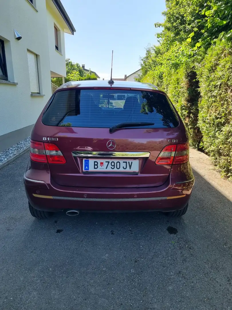 Mercedes-Benz B 180 B 180 CDI (245.207) Rot - 2