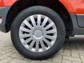 Ford EcoSport Trend 1.5 Ti-VCT Klimaautom SHZ Alarm Rückfahrkam. Rojo - thumbnail 9