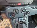 Fiat Panda Panda III 1.0 firefly hybrid s Rosso - thumbnail 10