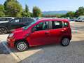 Fiat Panda Panda III 1.0 firefly hybrid s Rosso - thumbnail 3