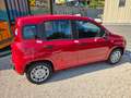 Fiat Panda Panda III 1.0 firefly hybrid s Rosso - thumbnail 4