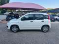 Fiat Panda 1.0 FireFly S&S Hybrid Weiß - thumbnail 4