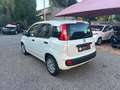 Fiat Panda 1.0 FireFly S&S Hybrid Weiß - thumbnail 5