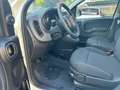 Fiat Panda 1.0 FireFly S&S Hybrid Weiß - thumbnail 14
