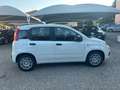 Fiat Panda 1.0 FireFly S&S Hybrid Weiß - thumbnail 8
