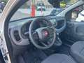 Fiat Panda 1.0 FireFly S&S Hybrid Weiß - thumbnail 13