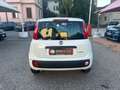 Fiat Panda 1.0 FireFly S&S Hybrid Weiß - thumbnail 6
